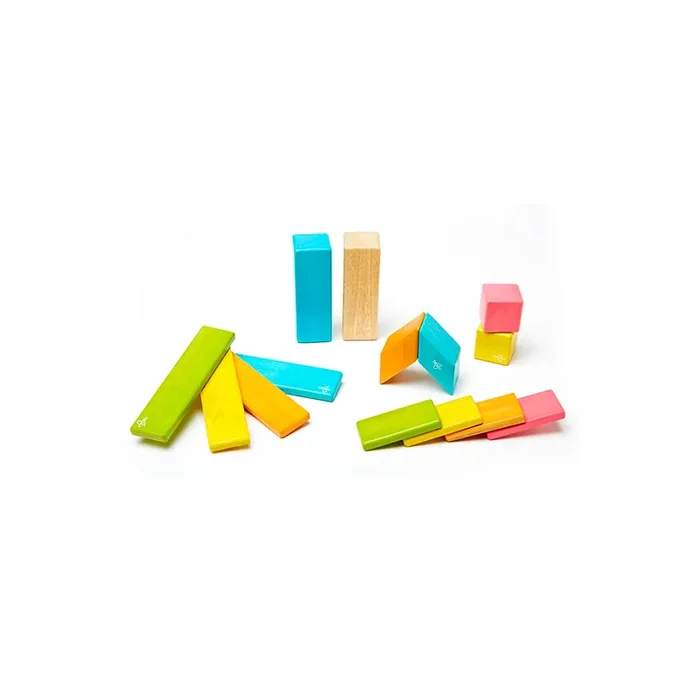 14-piece Set magnetic Wooden Blocks tegu Classics
