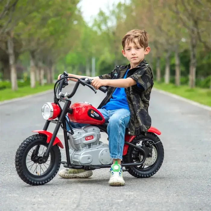 36v Freddo E-chopper, Leather Seat, Rubber Air Wheels, Brushless Motor