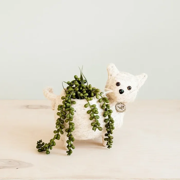 Baby Cat Planter – Handmade Pot | Likhâ
