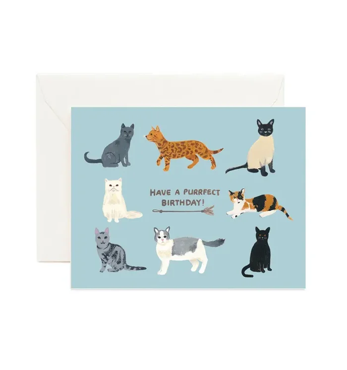 Birthday Cats