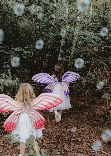Butterfly Wings Wearable Balloon