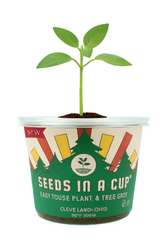 Chamomile | Plant Seed Starter Grow Kit |