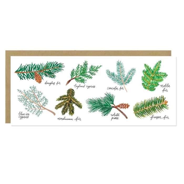 Christmas Tree Varieties