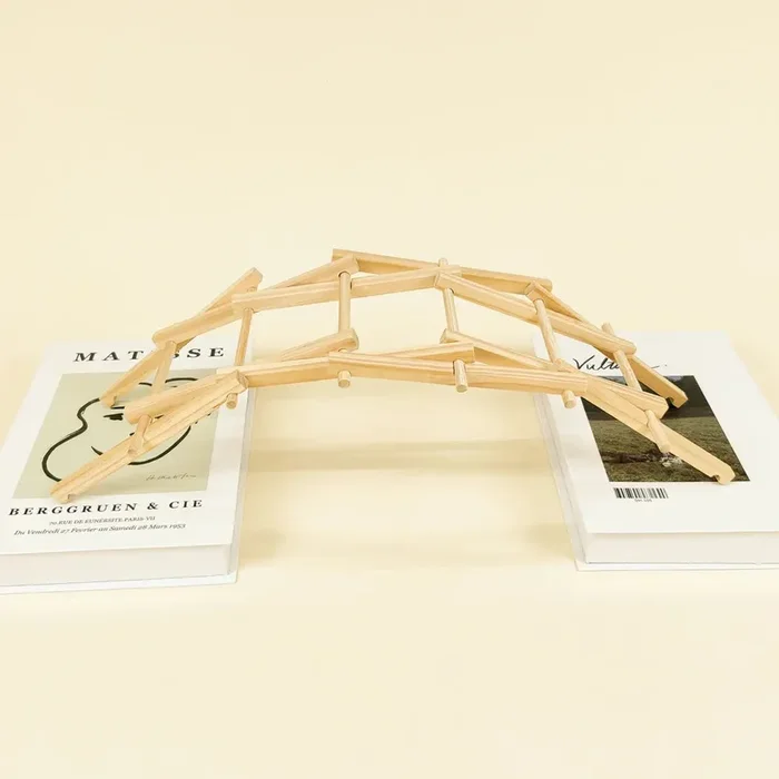 Da Vinci’s Bridge Diy Kit, Educational Stem Toy