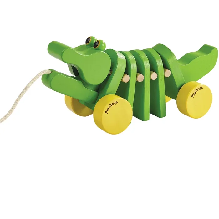 Dancing Alligator