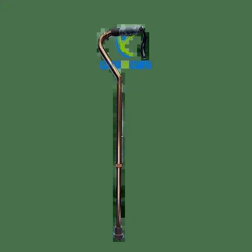 Escort Walking Stick