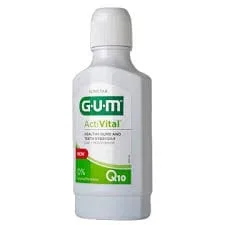 Gum Activital Fresh Mint M/W 300ml
