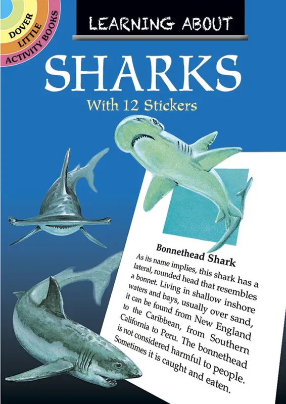 Learning About Sharks