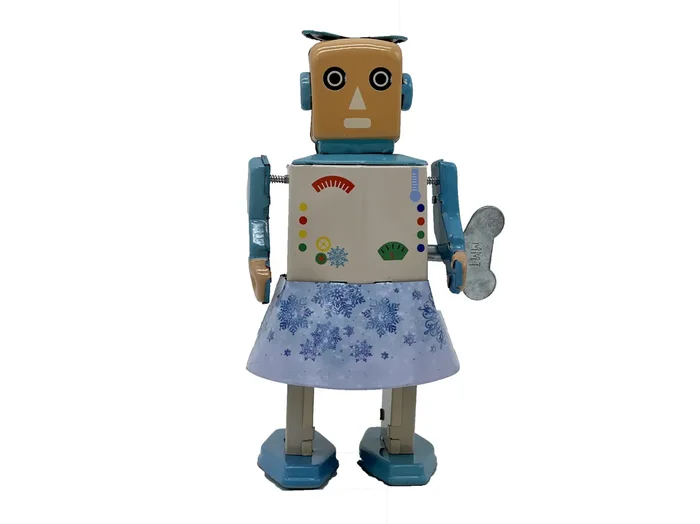 Mr & Mrs Tin Snow Bot