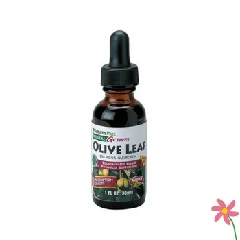 Nature’s Plus Herbal Actives Olive Leaf 30ml