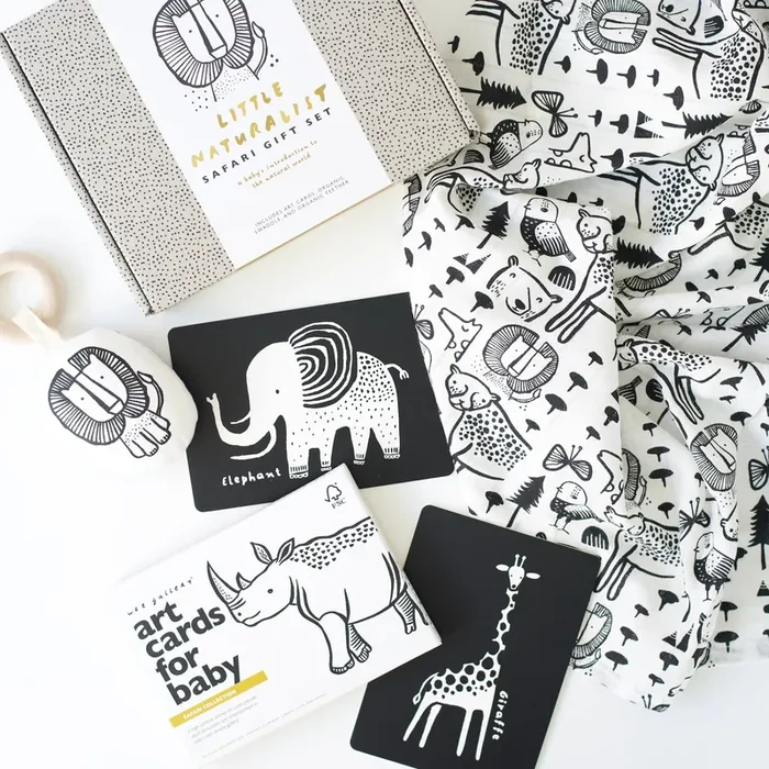 Newborn Baby Gift Set – Safari
