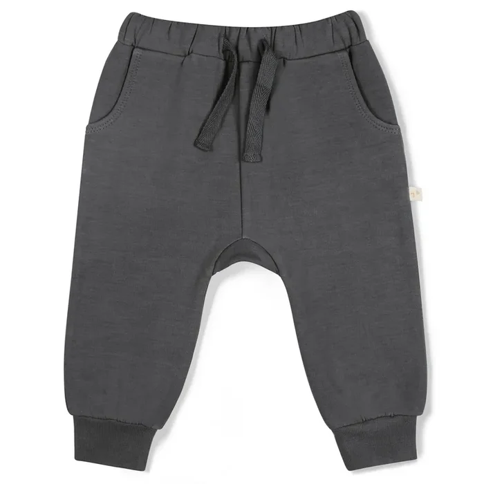 Organic Fleece Jogger Pants – Slate