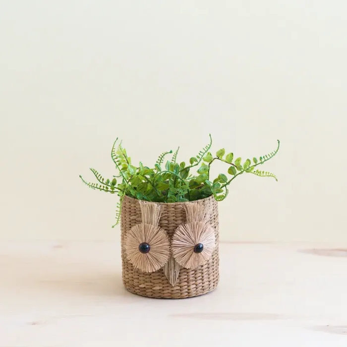 Owl 6 ” Seagrass Basket Planter – Succulent Plant Pot | Likhâ