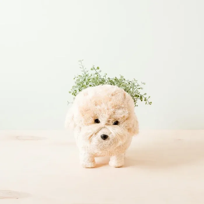 Poodle Planter – Coco Coir Pots | Likhâ