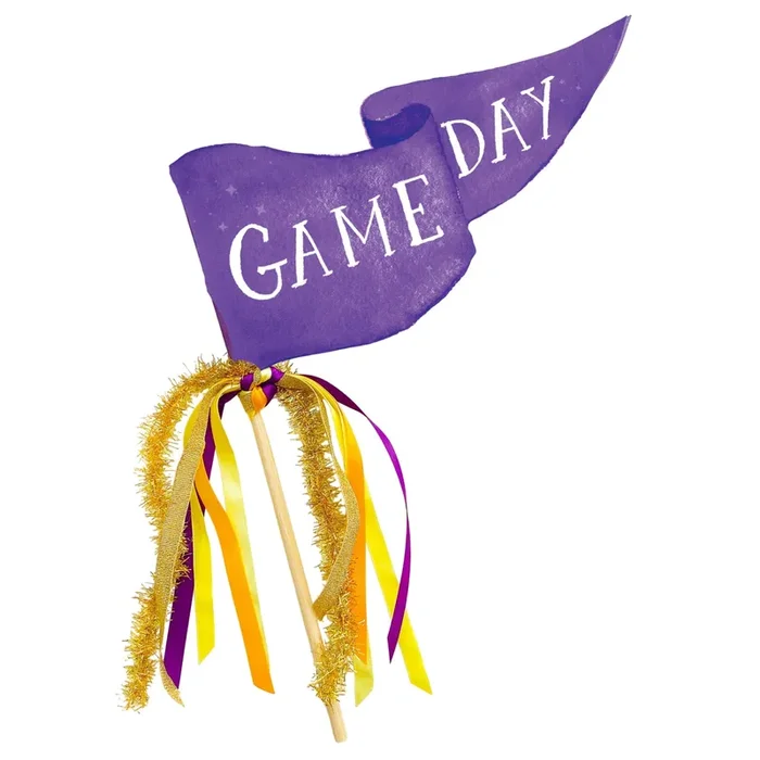 Purple Game Day Party Pennant