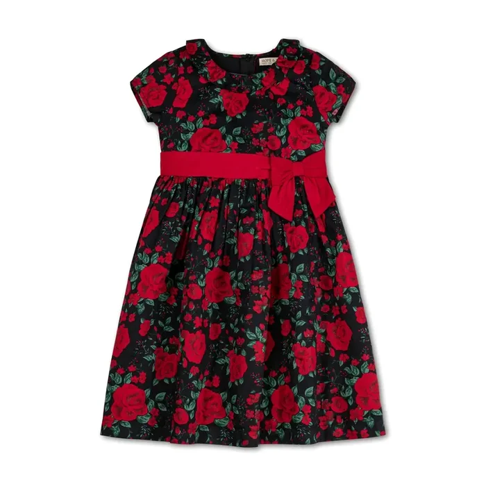 Ruffle Collar Party Dress