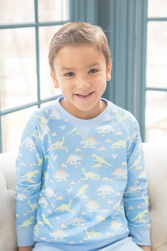 Sam Sweatshirt – Dinosaur Knit