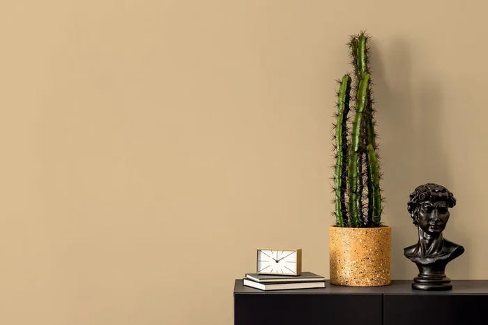 Solid Color Wallpaper In A Muted Soft Orange – D415