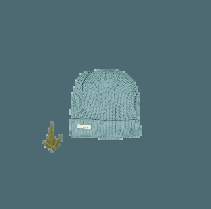The Chunky Knit Hat – Ocean