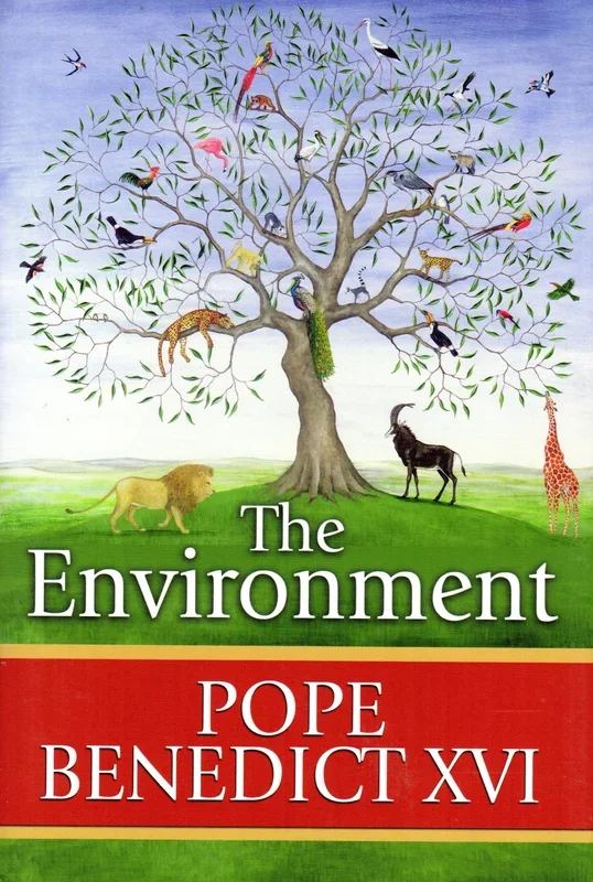 The Environment