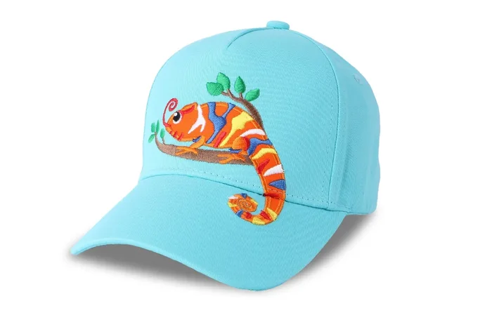 Toddler/kids Ball Cap – Chameleon