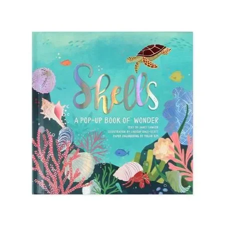 Up with Paper Pop Up Book – Shells