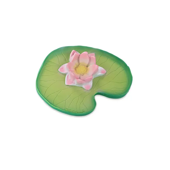 Water Lily