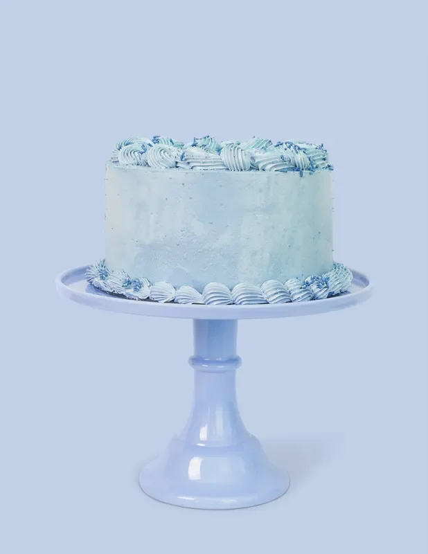 Wedgewood Blue Melamine Cake Stand- Large