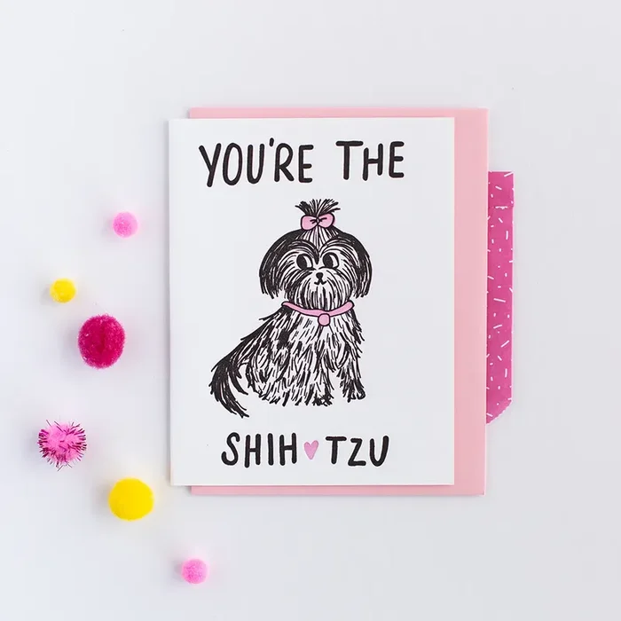 You’re The Shih Tzu